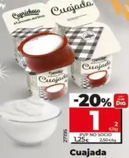 Dia Dia caprichoso - cuajada oferta