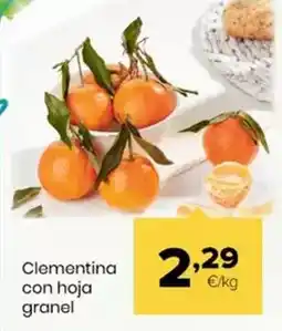 Autoservicios Familia Clementina con hoja granel oferta