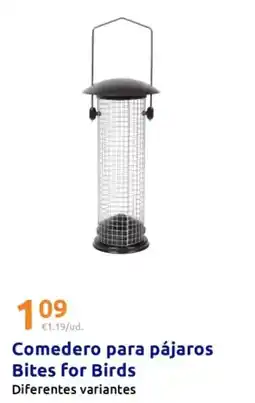 Action Bites for birds - comedero para pájaros oferta
