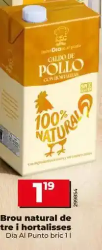 Dia Dia al punto - caldo natural de pollo y hortalizas brik 1 l oferta