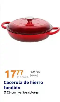 Action Cacerola de hierro fundido oferta