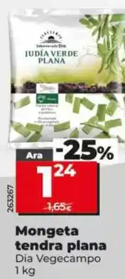 Dia Dia vegecampo - judía verde plana oferta
