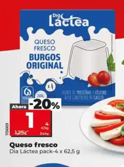 Dia DIA LÁCTEA Queso fresco oferta