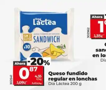 DIA LÁCTEA Queso fundido regular en lonchas