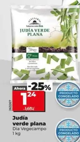 Dia DIA VEGECAMPO Judía verde plana oferta