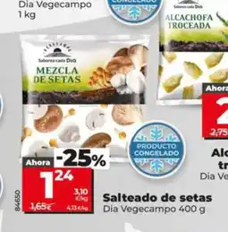 Dia DIA VEGECAMPO Salteado de setas oferta
