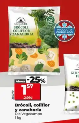 Dia DIA VEGECAMPO Brócoli, coliflor y zanahoria oferta