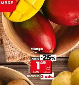 Dia Mango oferta