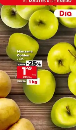 Dia Manzana Golden oferta