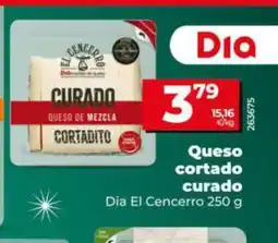 Dia DIA EL CENCERRO Queso cortado curado oferta