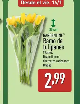 ALDI GARDENLINE Ramo de tulipanes oferta