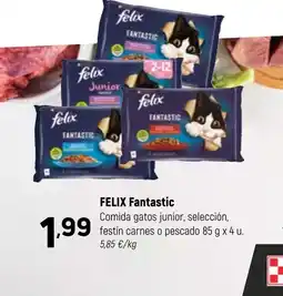Coviran FELIX Fantastic Comida gatos junior, selección, festín carnes o pescado oferta