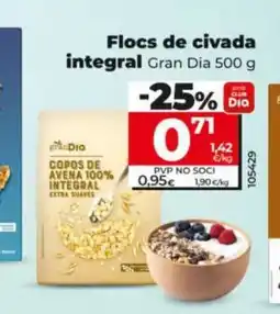 Dia GRAN DIA Flocs de civada integral oferta