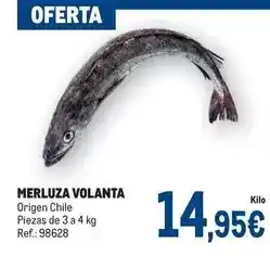 Origen - merluza volanta