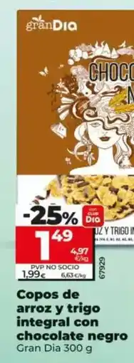 Dia Gran dia - copos de arroz y trigo integral con chocolate negro oferta