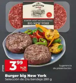 Dia Seleccion de dia - burger big new york bandeja 280 g oferta