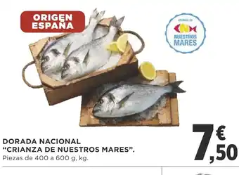 Supercor Dorado Nacional " Crianza De Nuestros Mares" 600g.kg oferta