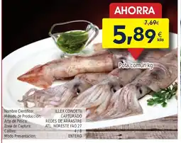 FROIZ Pota común oferta