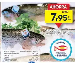 FROIZ Trucha arco iris/ asalmonada oferta