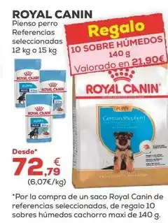 Kiwoko Royal canin - pienso perro oferta