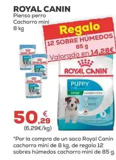 Kiwoko Royal canin - pienso perro cachorro mini oferta