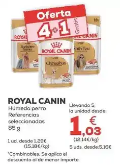 Kiwoko Royal canin - húmedo perro oferta