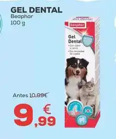 Kiwoko Gel dental oferta