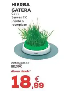 Kiwoko Catit - hierba gatera oferta