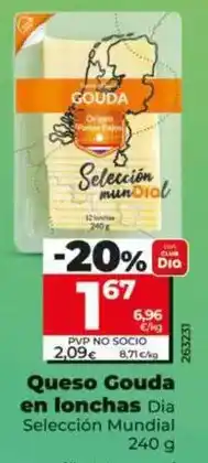 Dia Dia seleccion mundial - queso gouda en lonchas oferta