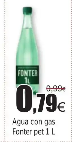 FROIZ FONTER Agua con gas oferta