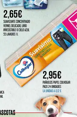 Claudio COLHOGAR Pañuelos papel pack 24 unidades la unidad oferta