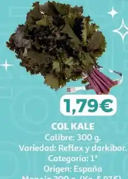 Alcampo Origen - col kale oferta