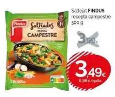 Condis Findus - saltejat oferta