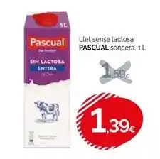 Condis Pascual - llet sense lactosa oferta