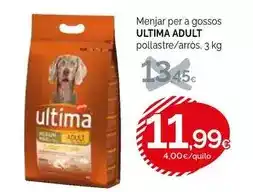 Condis Última - menjar per a gossos oferta