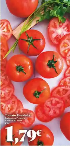 Gadis Tomate ensalada oferta