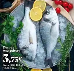 Gadis Dorada acuicultura oferta