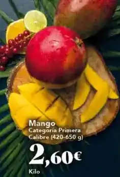 Gadis Mango - mango oferta
