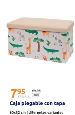 Action Caja plegable con tapa oferta