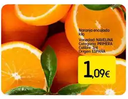 Dialprix Naranja encajada oferta