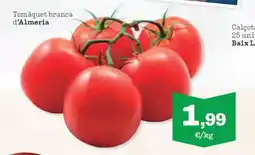 Sorli Tomàquet branca d'Almeria oferta