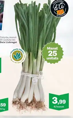 Sorli Calçots, manat 25 unitats del Baix Llobregat oferta