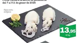 Sorli Sípia neta mitjana oferta