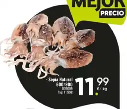 Family Cash Sepia Natural oferta