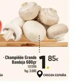 Family Cash Champiñón Grande Bandeja oferta