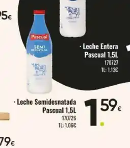 Family Cash PASCUAL Leche Semidesnatada oferta