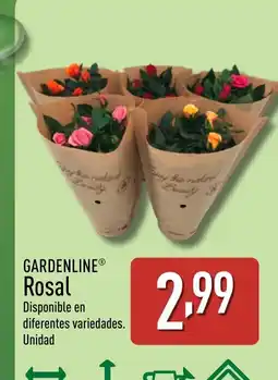 ALDI GARDENLINE Rosal oferta
