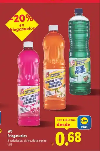 Lidl W5 Friegasuelos oferta