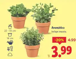 Lidl Aromática oferta