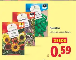 Lidl Semillas oferta